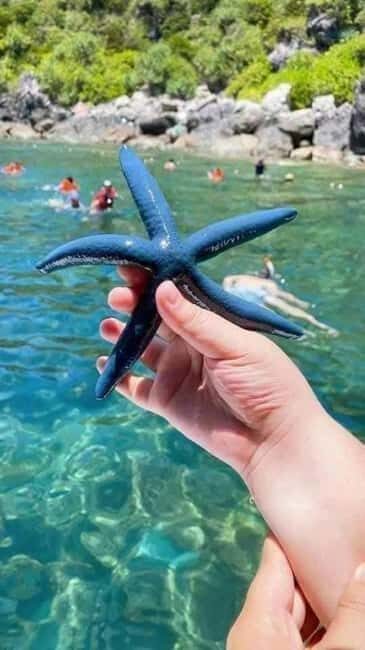 Cham Island: Experience Snorkeling and Lunch In A Day Tour - Exploring Cu Lao Cham: History and Local Life