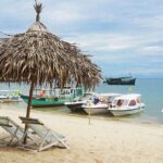 Cham Island Snorkeling Adventure from Da Nang or Hoi An - The Experience: What Travelers Are Saying