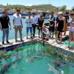 Cham Island Snorkeling Private Tour (Only Snorkeling & Beach) - What’s Included and What’s Not