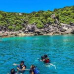 Cham Island Snorkeling: Top Day Trip from Hoi An or Da Nang - Price and Value Analysis
