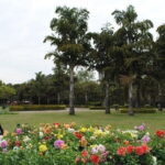 Chandigarh Private Full Day Tour - What Youll Love About This Tour