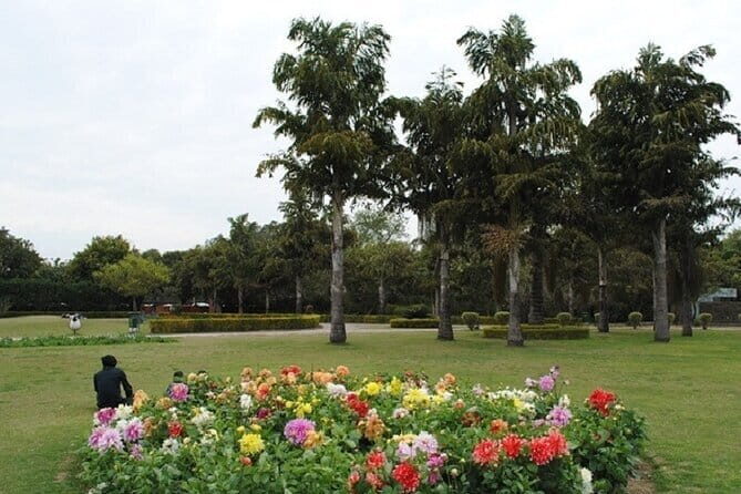 Chandigarh Private Full Day Tour - What Youll Love About This Tour