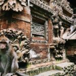 Charter Minivan Hi-Ace (14 seater) with Driver at Bali- 10 Hours Usage - In-Depth Look at the Itinerary