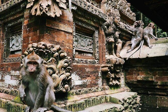 Charter Minivan Hi-Ace (14 seater) with Driver at Bali- 10 Hours Usage - In-Depth Look at the Itinerary