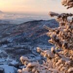 Charyn Canyon and Kolsai Lake Day Adventure from Almaty - What to Expect from the Experience