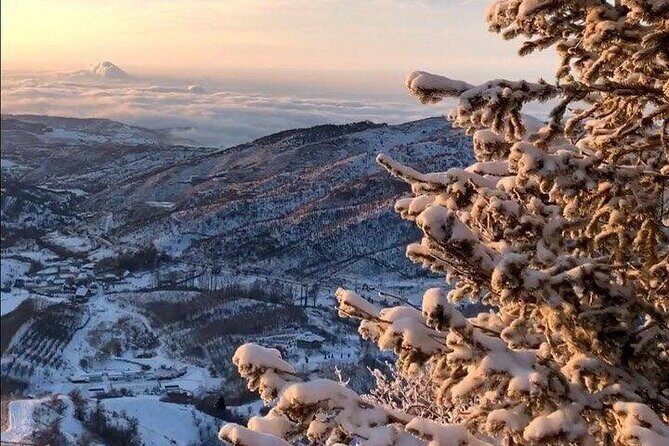 Charyn Canyon and Kolsai Lake Day Adventure from Almaty - What to Expect from the Experience