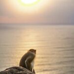 Chasing Sunrise in Da Nang and enjoying life - What Makes the Sunrise Spot Special?