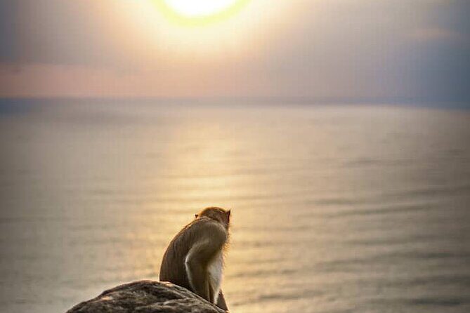 Chasing Sunrise in Da Nang and enjoying life - What Makes the Sunrise Spot Special?