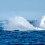 Chatan: Okinawa Whale Watching - Final Thoughts: Is It Worth It?