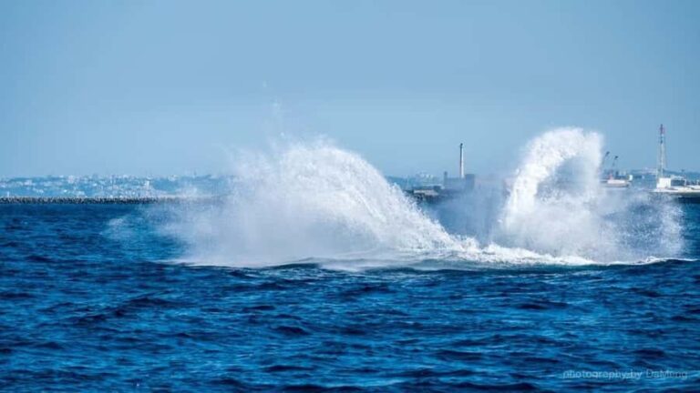 Chatan: Okinawa Whale Watching - Final Thoughts: Is It Worth It?