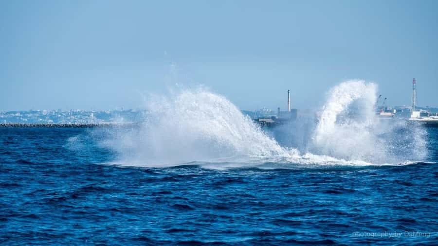 Chatan: Okinawa Whale Watching - Final Thoughts: Is It Worth It?