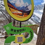 Chengdu: Bipenggou Scenic Area Private Tour - Is This Tour Worth the Price?