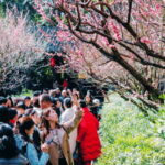Chengdu: Du Fu Thatched Cottage Poetry Museum - Why This Tour Is Worth Your Time