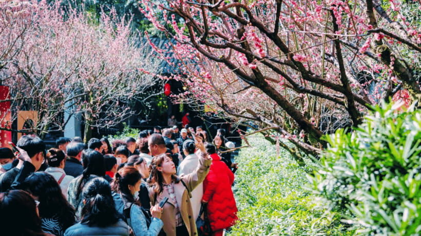 Chengdu: Du Fu Thatched Cottage Poetry Museum - Why This Tour Is Worth Your Time