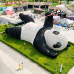 Chengdu: Hidden Wonders Day Tour with Wolong Panda Base - Practical Details and What to Expect
