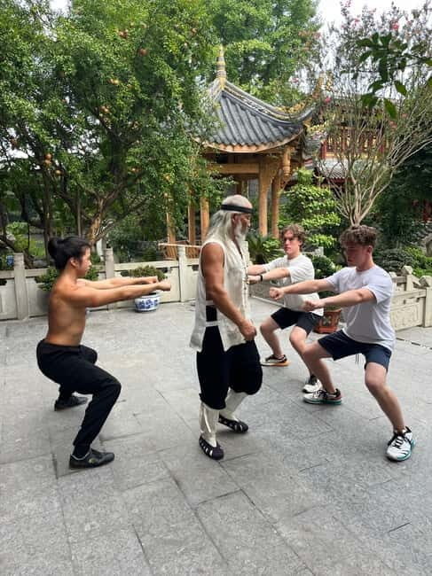 Chengdu: Kung Fu Panda Tour, Tai Chi,Martial Arts&Panda base - The Value of This Tour