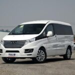 Chengdu Panda Base Half Day Car Use - Final Thoughts on the Tours Value