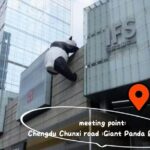 Chengdu Panda Base Ticket/Experiences from Chunxi Road - Why This Tour Offers Good Value