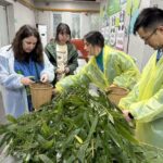 Chengdu: Volunteer Day Experience at Dujiangyan Panda base - Final Thoughts