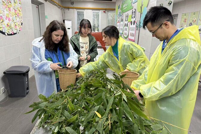 Chengdu: Volunteer Day Experience at Dujiangyan Panda base - Final Thoughts