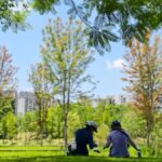 Chengdu: Wonder Ride Cycling Greenway - Practical Details: Cost, Duration, and Suitability