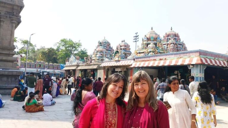 Chennai: Private Fullday Tour With Local Guide and Lunch - Who Will Love This Tour?