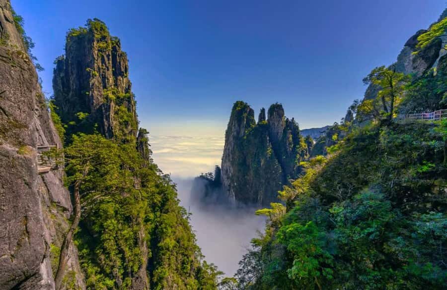 ChenZhou: Mangshan National Forest Park Day Trip - Practical Details and What to Keep in Mind