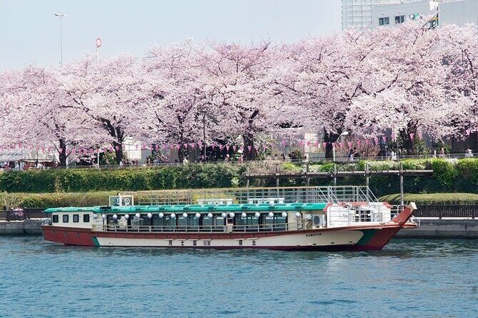Cherry Blossom Sightseeing River Boat Experience - Why This Experience Is a Good Choice  