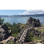 Cherry Blossoms in Kagoshima - Cherry Blossom Viewing and Leisure