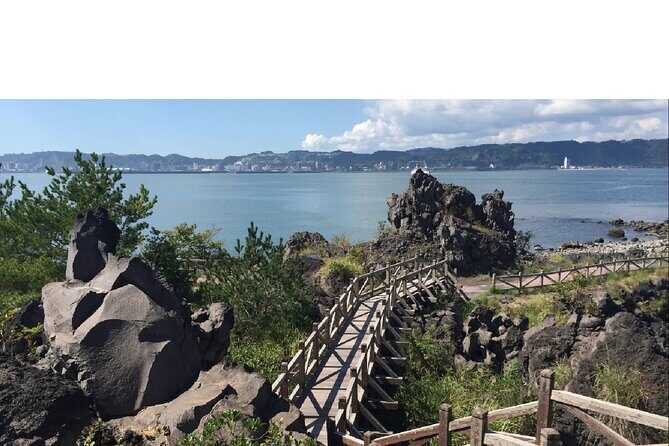 Cherry Blossoms in Kagoshima - Cherry Blossom Viewing and Leisure