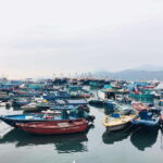 Cheung Chau Island: Walking Day Tour - An Overview of the Tour