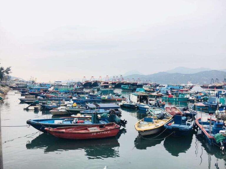 Cheung Chau Island: Walking Day Tour - An Overview of the Tour