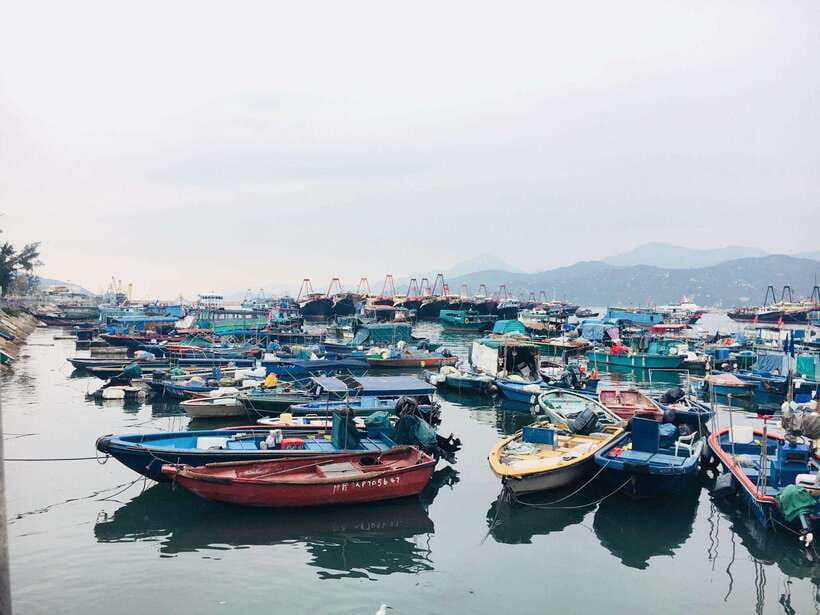 Cheung Chau Island: Walking Day Tour - An Overview of the Tour