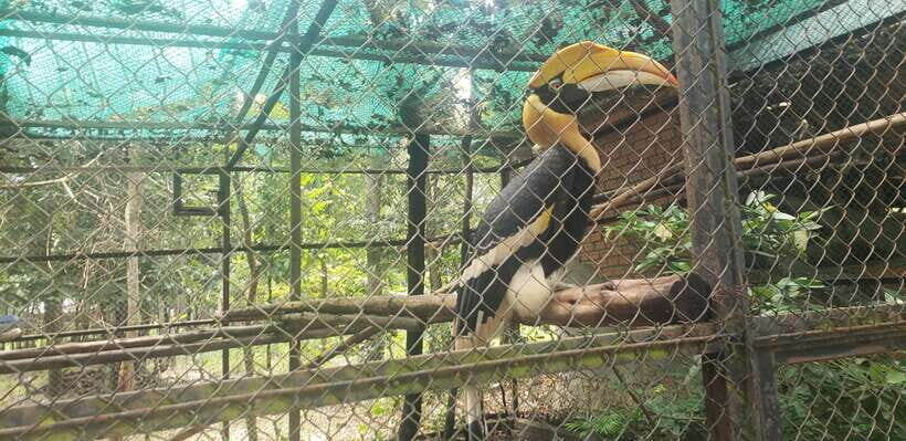 Chi so mountain _ Ta moa zoo_ Bati temple Tour - Introduction to the Tour Experience
