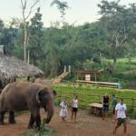 Chiang Mai 2-Day: Good Morning Elephant & Overnight Homestay - What This Tour Means for You