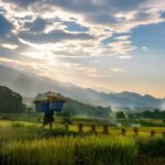 Chiang Mai: 2-Day Hidden Jungle Trek & Local Hill-Tribe Stay - Who Will Love This Tour?
