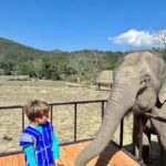 Chiang Mai: 2-Day Tour with Rafting, Elephants, and Waterfall - Practical Aspects of the Tour