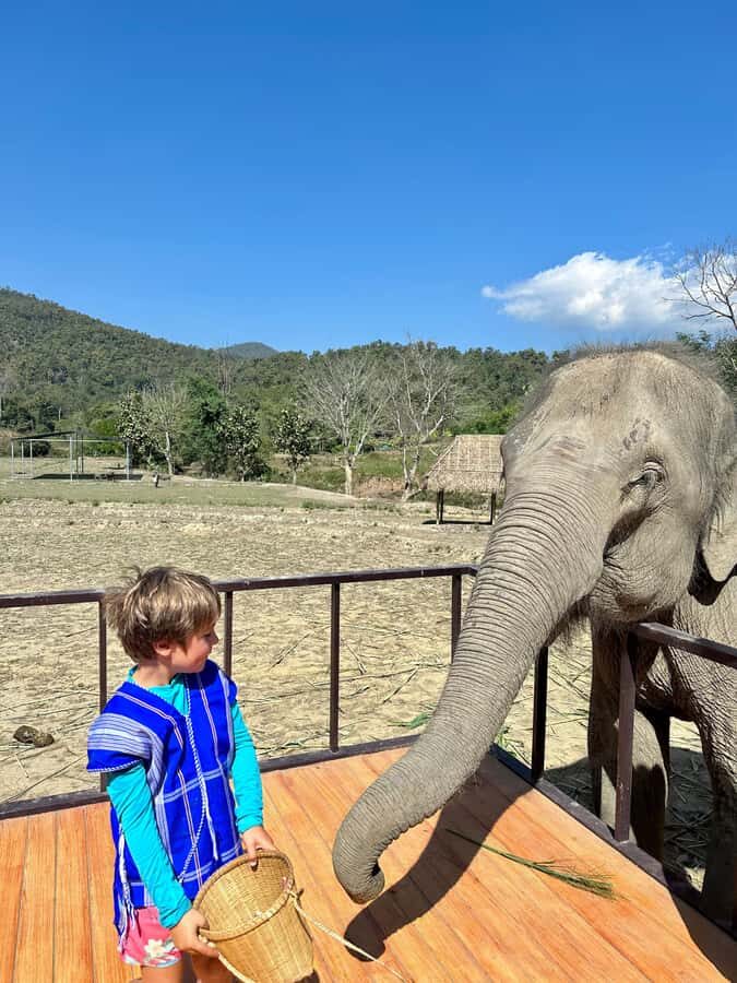 Chiang Mai: 2-Day Tour with Rafting, Elephants, and Waterfall - Practical Aspects of the Tour