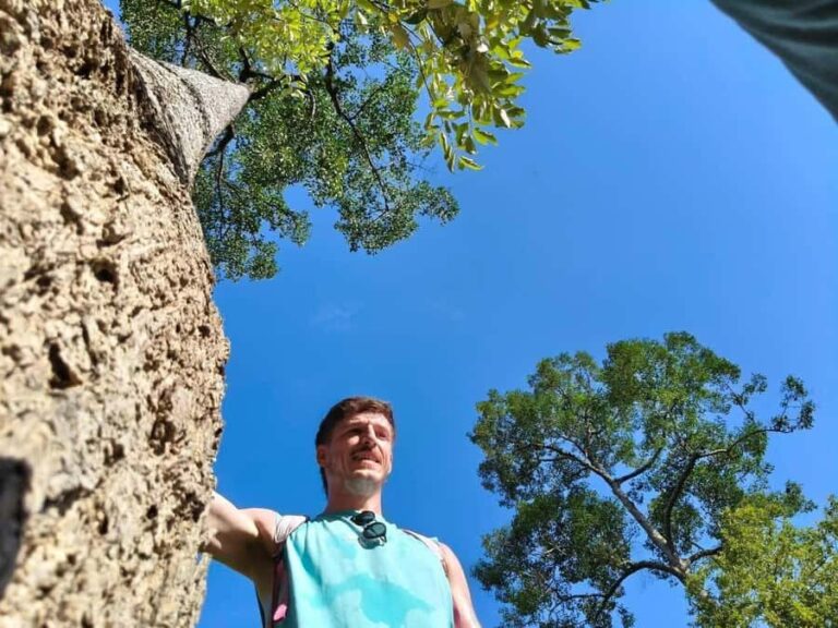 Chiang Mai: 3-Day Elephant Care, Jungle Trek, Bamboo Rafting - Practical Details and Why They Matter