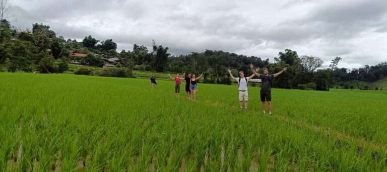 Chiang Mai: 3-Day Jungle Trek with White Karen Local Guide - Good To Know