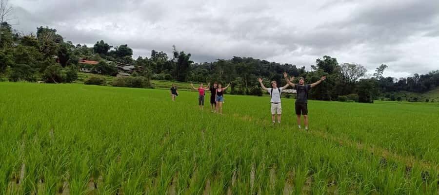 Chiang Mai: 3-Day Jungle Trek with White Karen Local Guide - Good To Know