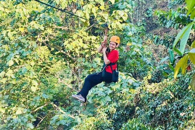 Chiang Mai 3 in 1 Zipline, Elephants and Sticky Waterfall - Authentic Experiences and Guides