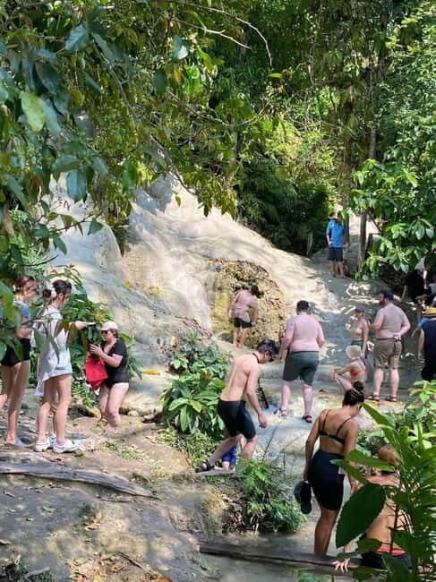 Chiang Mai: Afternoon Bua Tong Sticky Waterfall by Red Taxi - What to Expect at the Waterfalls
