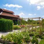 Chiang Mai: Authentic Cooking Class with Market & Farm Visit - The Sum Up: Is This Experience Worth It?