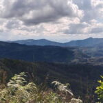 Chiang Mai Authentic Trekking - The Trekking Experience: Details and Practicalities