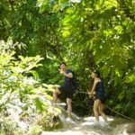 Chiang Mai: Bua Tong Sticky Waterfall, Huge Cave,Thai Buffet - What Sets This Tour Apart?