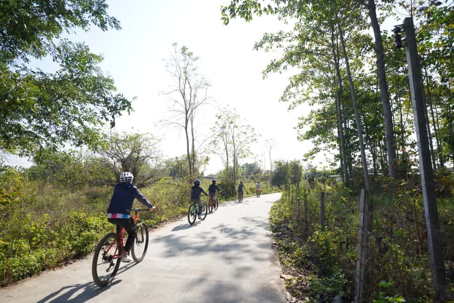 Chiang Mai: Cycling NamPhare Countrysides, Breezy-Relax Trip - Why This Tour Offers Excellent Value