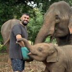 Chiang Mai: Doi Inthanon and Elephant Sanctuary Tour - Who This Tour Is Best For