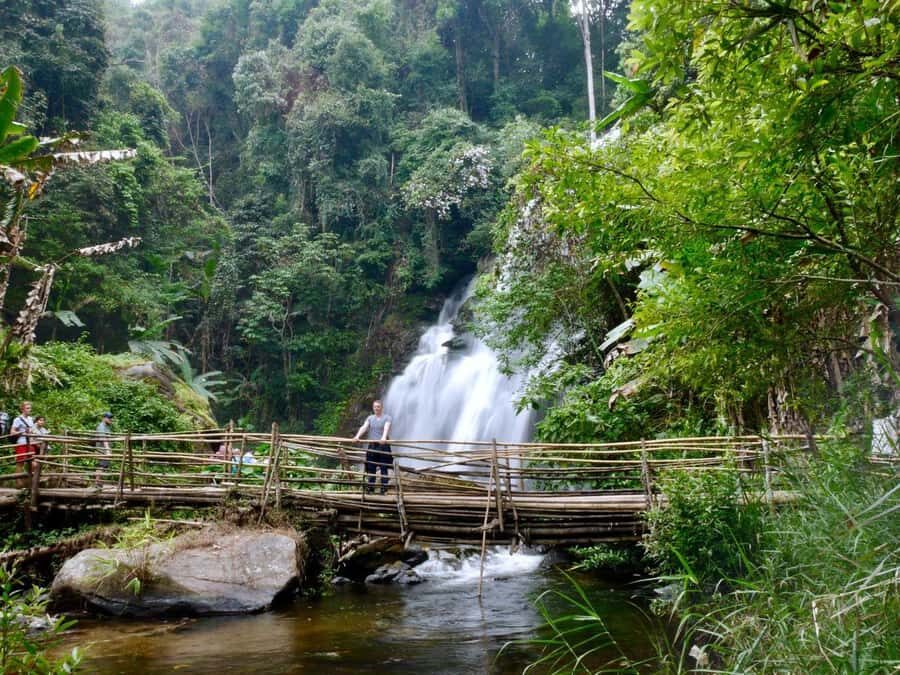 Chiang Mai: Doi Inthanon Hike, Coffee, and Tree Planting - An In-Depth Look at the Doi Inthanon Hike, Coffee, and Tree Planting Tour