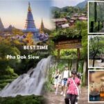 Chiang Mai: Doi Inthanon Hike, Hidden falls & Karen Culture - A Thorough Look at the Tour